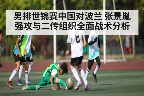 男排世锦赛中国对波兰 张景胤强攻与二传组织全面战术分析